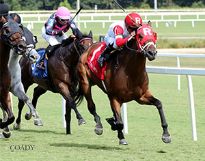Whenigettoheaven (#1) won the $100,000 Meadow Stable by a head over Going Up on Aug. 30, 2025 at Colonial Downs. (Credit: Coady Media)