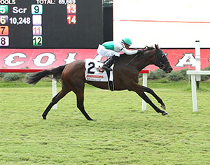 Truly Quality (#2) seeks a repeat in the $150,000 Colonial Cup, one of six turf stakes races scheduled for Saturday, Sept. 6 at Colonial Downs.