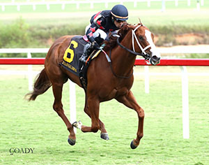 ROYAL TESTAMENT - The Exacta Systems Rosie's Stakes