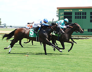 Somethinabouther is one of two Brendan Walsh-trained 3-year-old fillies entered for the Saturday, Sept. 6 running of the $250,000 (Listed) Old Dominion Oaks at COlonial Downs (Credit: Coady Media)