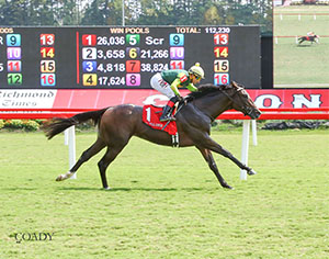 CASA CIELO - The Kitten's Joy Stakes