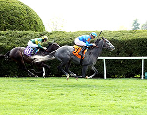 Mesero (#7) is one of nine 3-year-olds entered for the Grade 3 $500,000 Old Dominion Derby on Saturday, Sept. 6 at Colonial Downs. (Credit: Coady Media)
