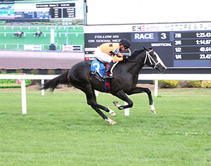 Jutland (#3) is the morning-line choice in the $125,000 Kittern's Joy, one of six turf stakes races scheduled for Saturday, Sept. 6 at Colonial Downs.