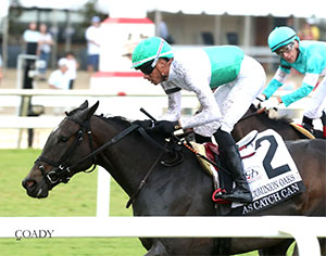 AS CATCH CAN - Inside Finish 01 - Renee Torbit