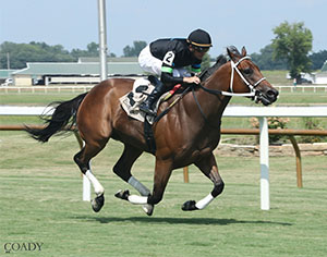 Doncho (#6), world-record holder for 5 ½ furlongs on turf, is listed at 9-2 on the morning line for the $150,000 Da Hoss, one of six turf stakes races scheduled for Saturday, Sept. 6 at Colonial Downs.  