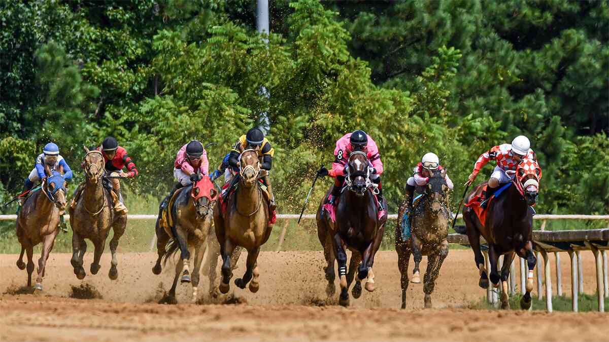 0003_Horse-Racing-8-31-2021-010-Final