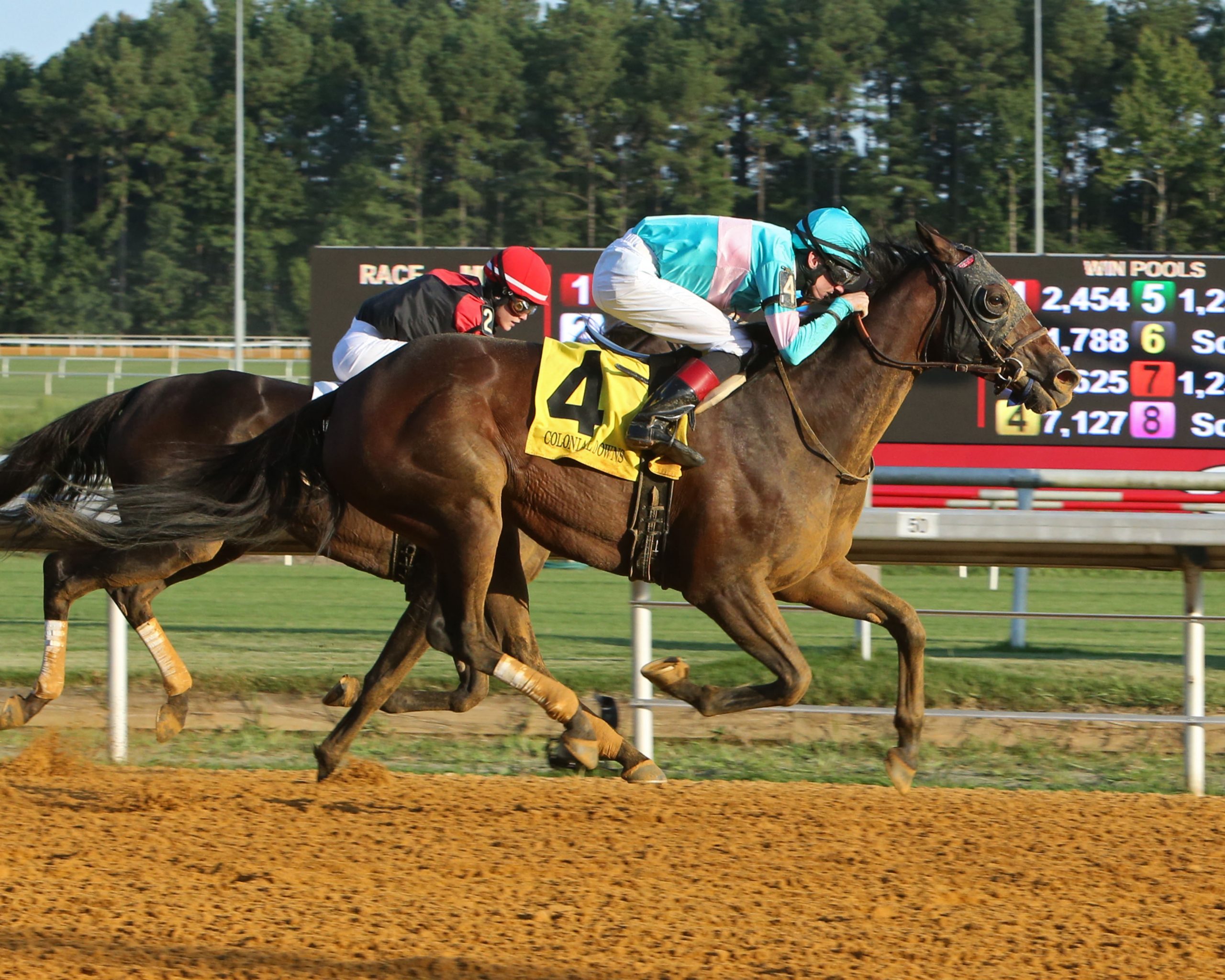 CDR horse