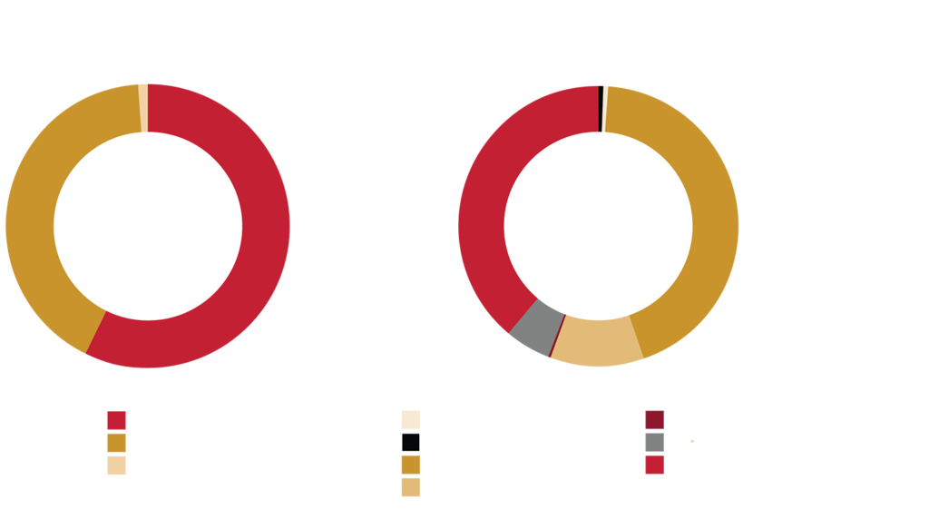 Diversity Graph