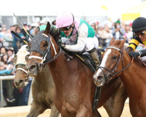 Chasten, Eunomia, Tour Player Win Virginia Derby Day Undercard Stakes 
