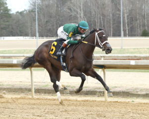 Chasten, Eunomia, Tour Player Win Virginia Derby Day Undercard Stakes 