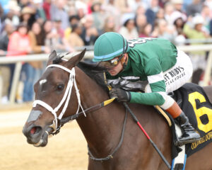 Chasten, Eunomia, Tour Player Win Virginia Derby Day Undercard Stakes 