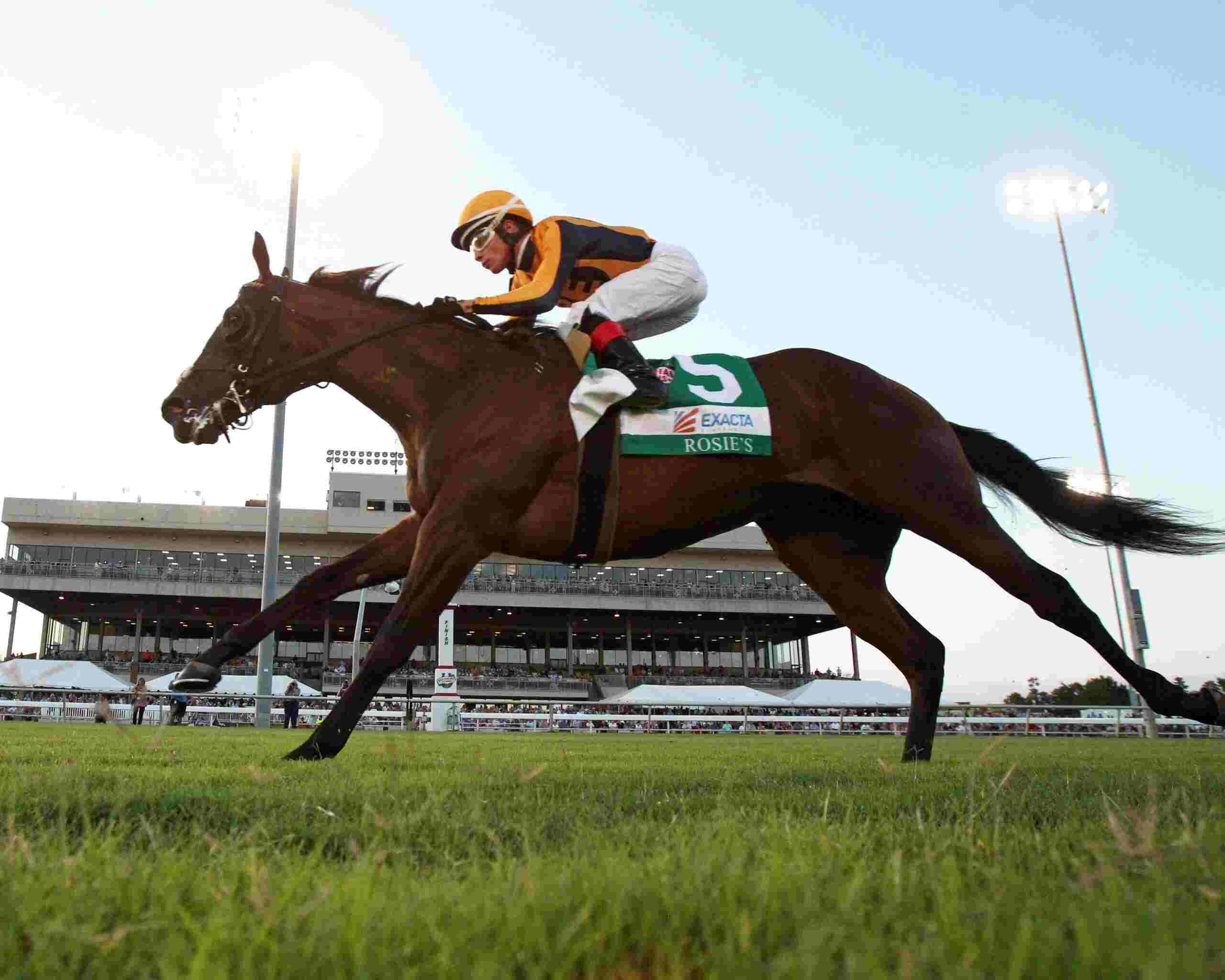 FOUR-WHEEL-DRIVE-Exacta-Systems-Rosies-Stakes-08-31-19-R06-CNL-Under-Rail-02-scaled-1