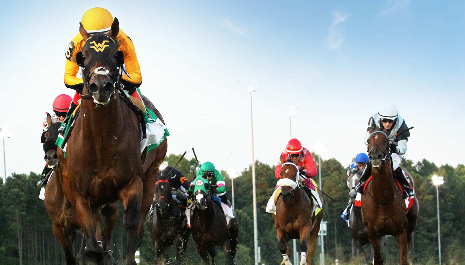 FOUR-WHEEL-DRIVE-Exacta-Systems-Rosies-Stakes-08-31-19-R06-CNL-Under-RailEDIT-1