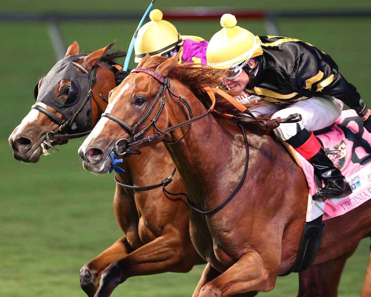 Horses-Racing