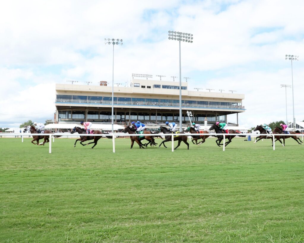 horses racing