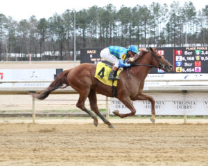 Chasten, Eunomia, Tour Player Win Virginia Derby Day Undercard Stakes 