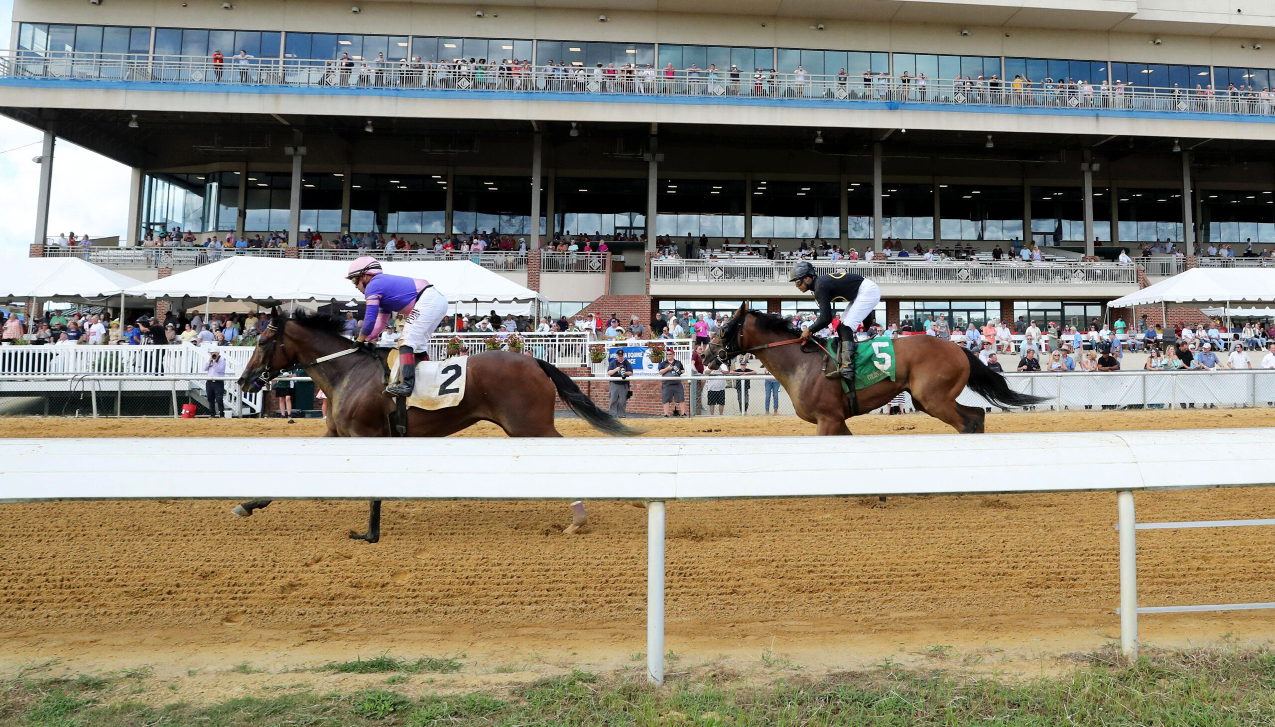 Horses racing