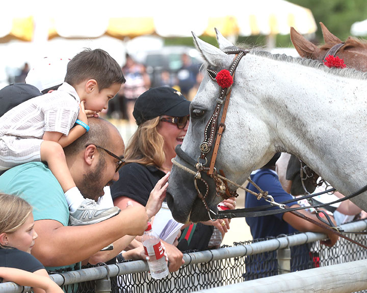 Dad and little boy petting horse