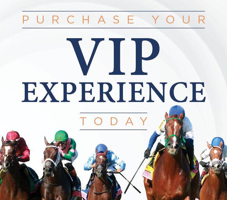 Purchase your VIP Experience today