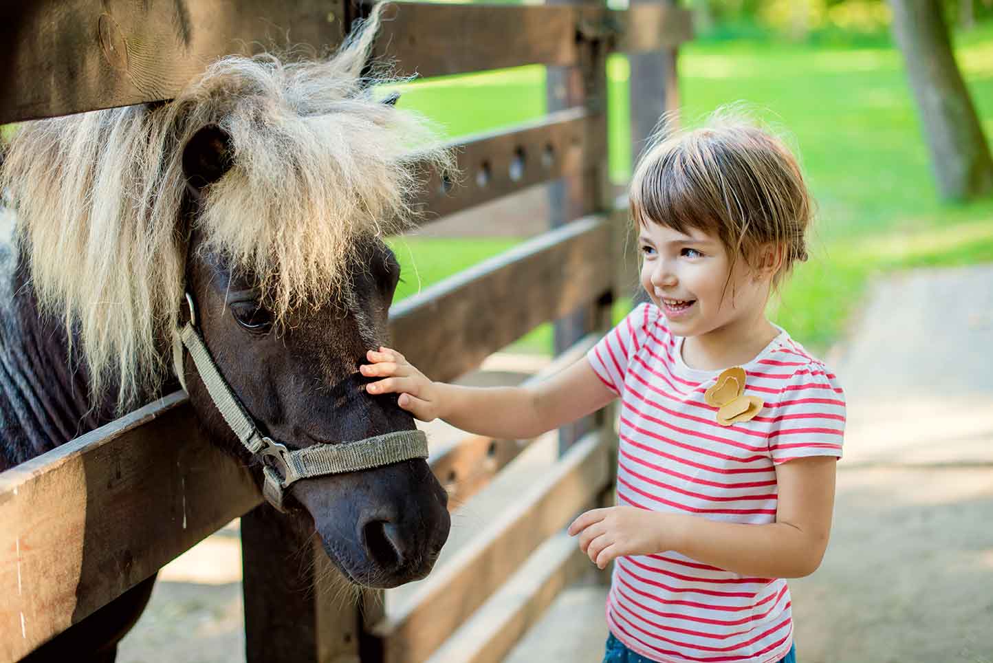 Little girl petting horse