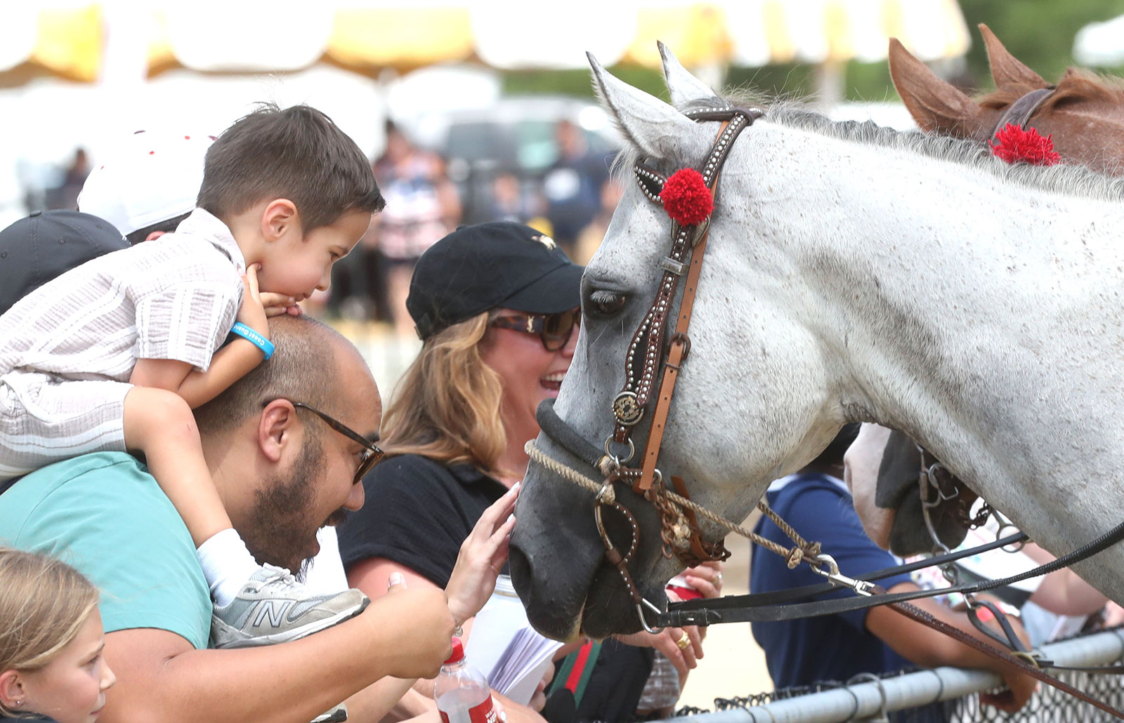 Dad and little boy petting horse