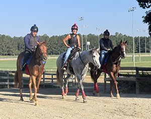 horses at colonial downs in new kent