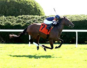 The-Transylvania-Presented-by-Keeneland-Select