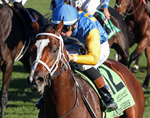 Aandthewinneris Horse racing at Colonial Downs