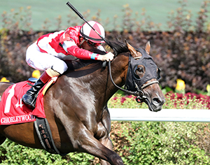Horse racing at Colonial Downs in New Kent