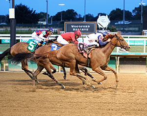 Going Steady Horse