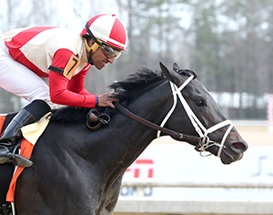 Horse racing at Colonial Downs in New Kent