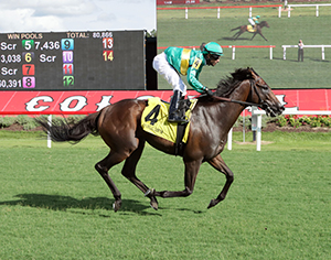 Horse racing at Colonial Downs in New Kent