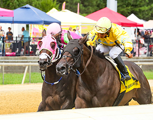 Horse racing at Colonial Downs in New Kent