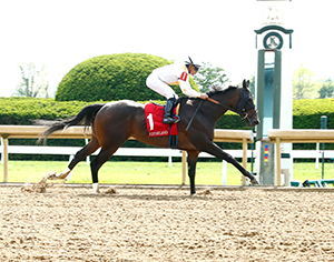 Horse racing at Colonial Downs in New Kent