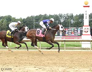 Curlin's Malibu