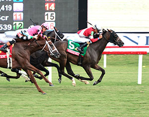 BURNHAM SQUARE - The Arlington Million G1