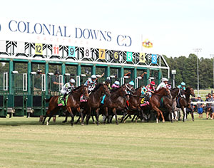 starting gates at colonial downs racetrack