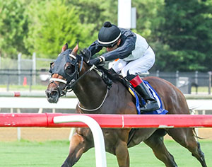 Determined Kingdom, winner of the 2023-2024 edtions of the $100,000, looks for his third victory in the race after finishing third last year. (Photo credit: Coady Media)