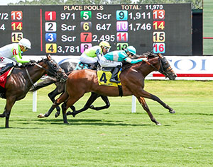 Horse running at Colonial Downs in New Kent