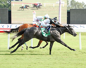Horse racing at Colonial Downs