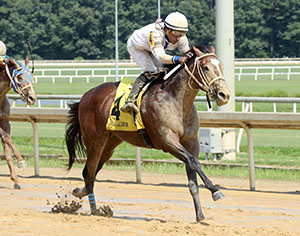 I FEEL LUCKY - The Hickory Tree Stakes
