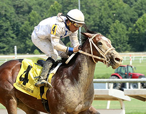 I FEEL LUCKY - The Hickory Tree Stakes