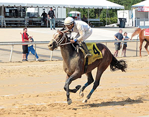 I FEEL LUCKY - The Hickory Tree Stakes