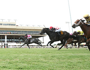 MY BOY PRINCE - The Van Clief Stakes