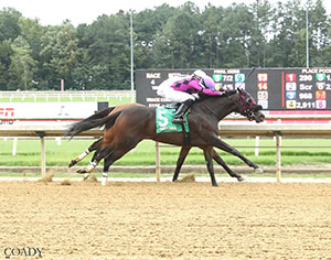 Curlin's Malibu