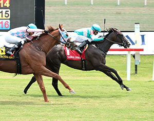 ROJA - The Andy Guest Stakes