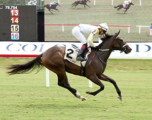 Horse racing at Colonial Downs