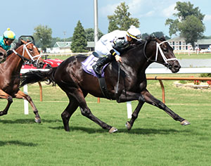 Horse running at Colonial Downs in New Kent