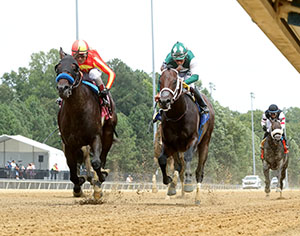 SABINO CANYON - The Petramalo Mile