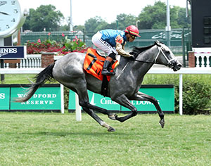Horse running at Colonial Downs in New Kent